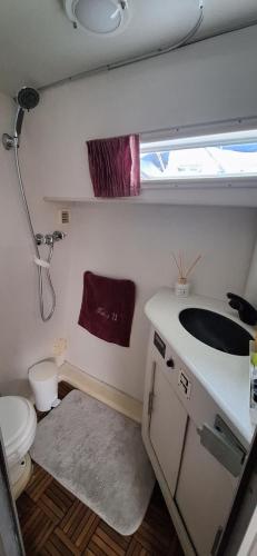 a small bathroom with a toilet and a sink at BLUE SEA BOAT in Vallauris