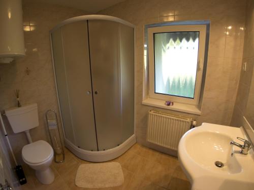 a bathroom with a shower and a toilet and a sink at Apartments Demec in Kranjska Gora