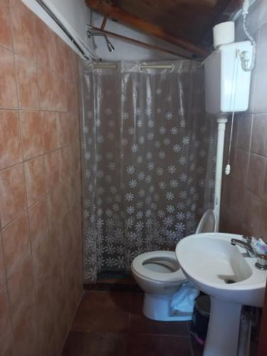 uma casa de banho com um WC e um lavatório em Depa centro comercial em Villa Pehuenia