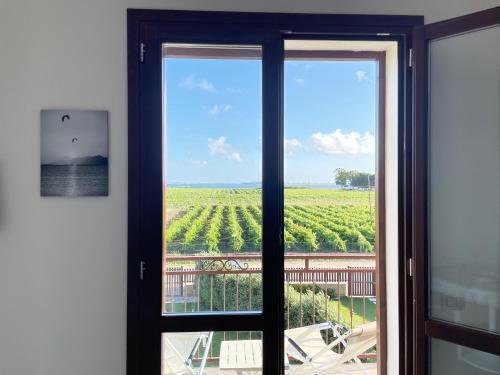 um quarto com uma janela com vista para uma vinha em Aquilone Garden em Birgi Vecchi