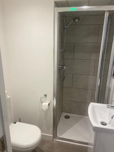 a bathroom with a shower and a toilet and a sink at The Ben Bhraggie Inn in Golspie