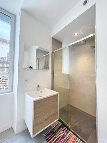 La salle de bains est pourvue d'un lavabo et d'une douche. dans l'établissement Bel Ecrin T2 35m2 Gare/Centre, à Grenoble