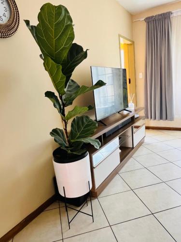 eine Topfpflanze in einem Wohnzimmer mit einem TV in der Unterkunft Apartment in centurion in Centurion