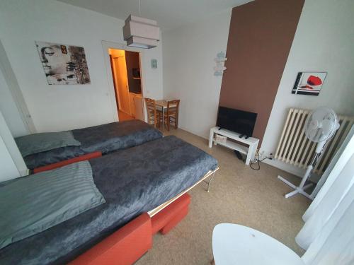 een kleine slaapkamer met 2 bedden en een ventilator bij Studio du Temple in Aix-les-Bains