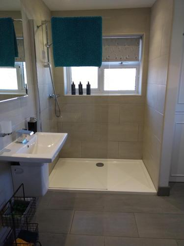 ein Bad mit einem Waschbecken und einer Dusche in der Unterkunft Escape to Anglesey, Dog Friendly in Llangoed
