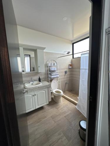 W łazience znajduje się toaleta, umywalka i lustro. w obiekcie Villa Celajes w mieście Barva