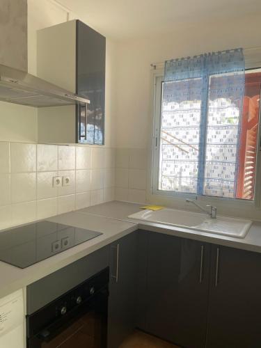 Cuina o zona de cuina de Appartement BALISIER