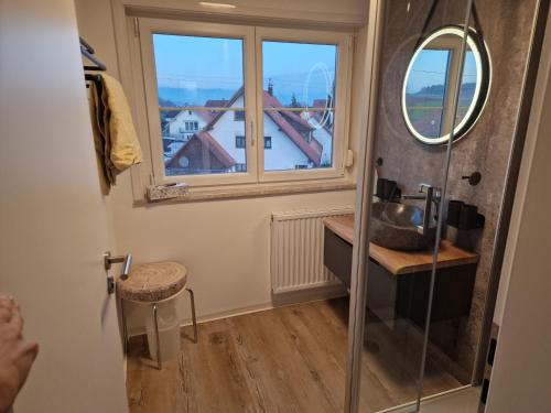 a bathroom with a shower and a window at Ferienwohnung Ingrid in Kressbronn am Bodensee
