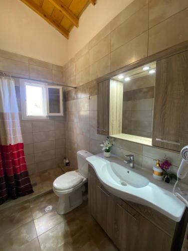 bagno con lavandino, servizi igienici e specchio di Theo apartment a Marathias