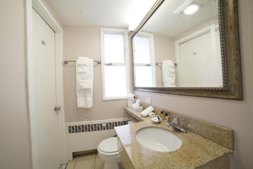 a bathroom with a sink and a mirror and a toilet at Hotel Boston in Boston