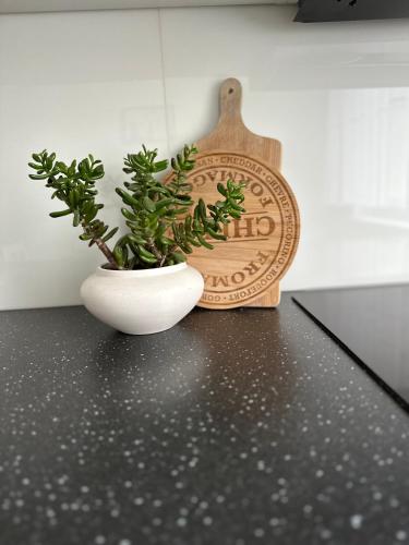 a plant in a white vase next to a wooden board at Jaukūs apartamentai Šilutėje in Šilutė