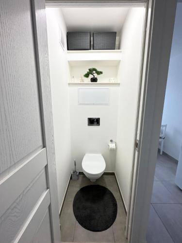 a small bathroom with a toilet and a black rug at Jaukūs apartamentai Šilutėje in Šilutė