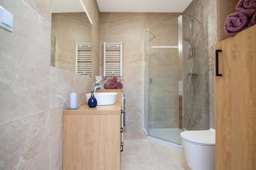 ein Bad mit einem Waschbecken, einer Dusche und einem WC in der Unterkunft Apartament Łowca Snów in Chełm