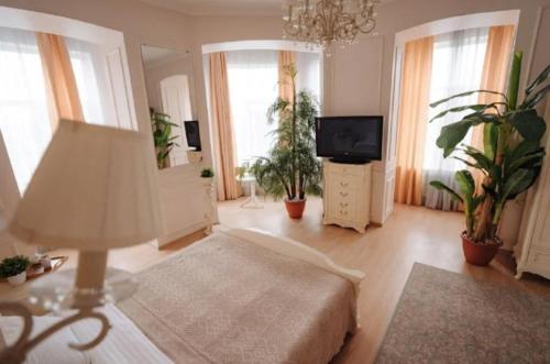 a living room with a bed and a tv at Apartment on Sumskaya 46 "Central Residence" in Kharkiv