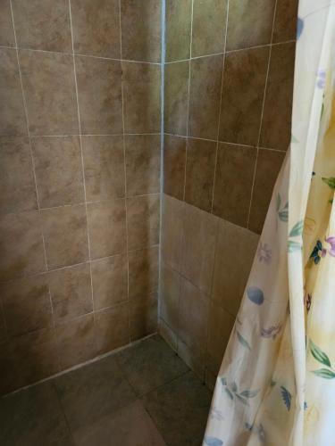 een douche met een douchegordijn in de badkamer bij Hostal La Cabaña in Mesetas