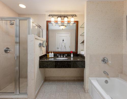 uma casa de banho com um lavatório, um espelho e uma banheira em The Inn On Biltmore Estate em Asheville