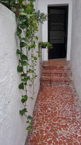 a plant on the side of a brick walkway at Quarto em Villa Jardim Botânico in Rio de Janeiro