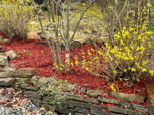 a garden with a stone wall and some plants at Twin Oaks in Bryson City
