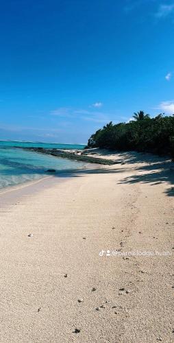 a sandy beach with palm trees and the ocean at Parea Lodge Huahine Bungalow 1#MAHANA in Parea