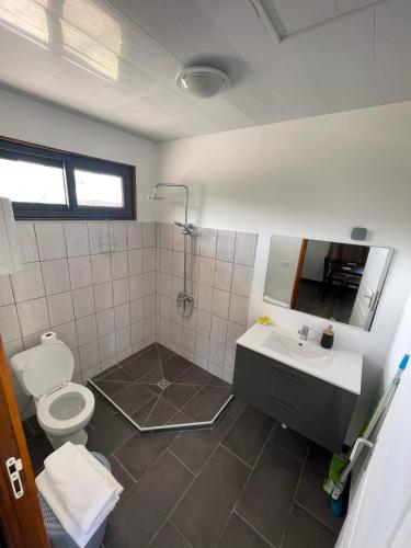 a bathroom with a toilet and a sink at Bungalow 1#MAHANA in Parea