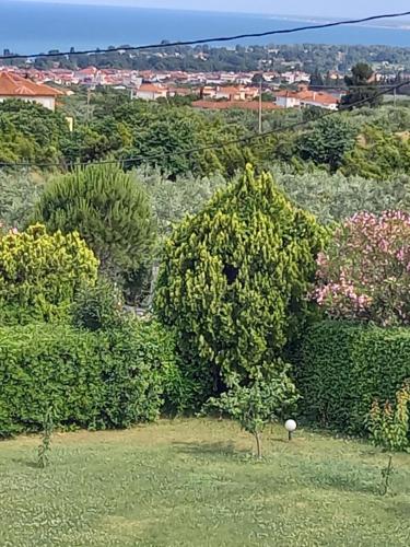 a bunch of trees and bushes in a field at TAMMY'S GARDEN HOUSE in Leptokaria