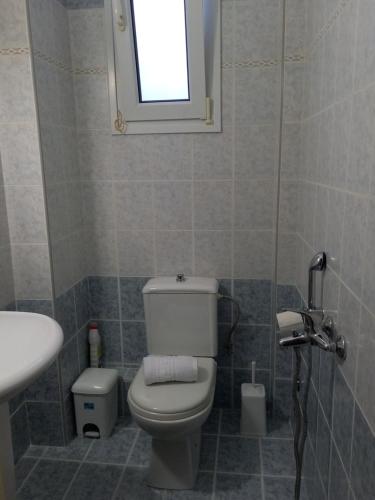 a bathroom with a toilet and a sink and a window at TAMMY'S GARDEN HOUSE in Leptokaria