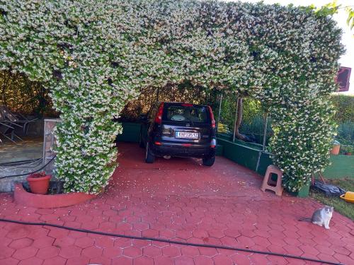 a car parked under an arch with white flowers at TAMMY'S GARDEN HOUSE in Leptokaria