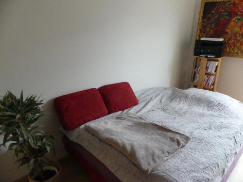 - un lit avec 2 oreillers rouges dans une chambre dans l'établissement Lovely room in quiet appartment, à Ivry-sur-Seine