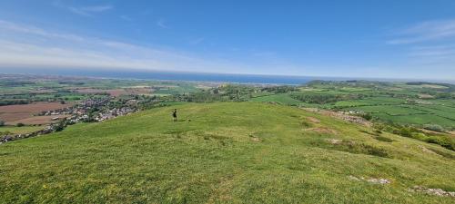 a person standing on top of a green hill with a dog at Bewles Caravan in Rhyl
