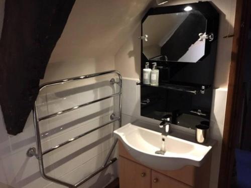 a bathroom with a sink and a mirror at Strongate Cottage Rural Retreat - near Bridport & Jurassic Coastline in Netherbury