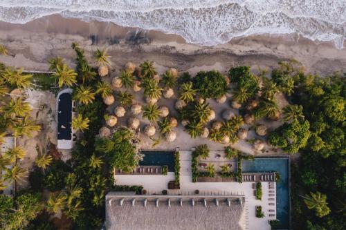 an aerial view of a resort with palm trees and the ocean at Naio in Palomino