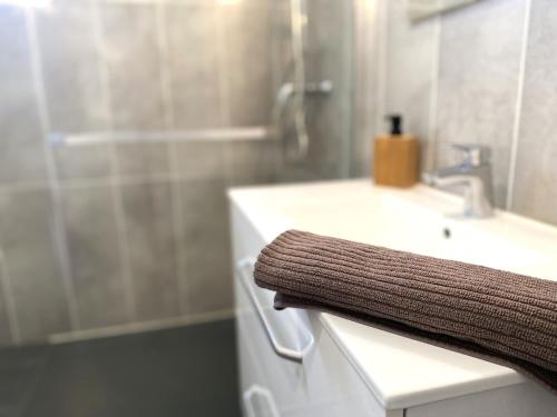 La salle de bains est pourvue d'un lavabo et d'une serviette sur un comptoir. dans l'établissement La belle des champs, à Luzillé