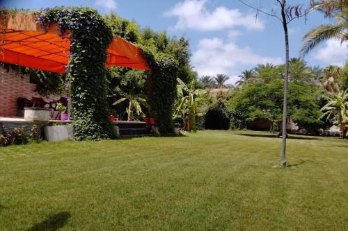 Two pools four bedrooms private villa في Qaryat Shākūsh: حديقة بها مظلة برتقال في الفناء