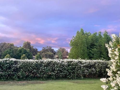 Mudgee Guesthouseにある庭