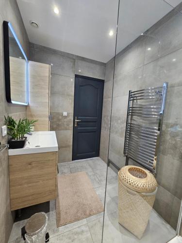 W łazience znajduje się prysznic, toaleta i umywalka. w obiekcie La Maison Richard w mieście Thizy-les-Bourgs