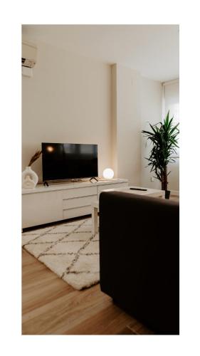 Apartamentos Prolongación Gran Vía Collection