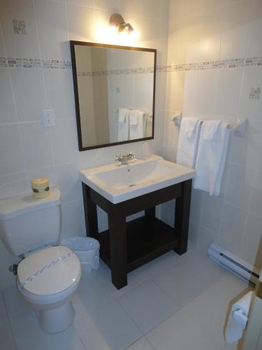 Koupelna v ubytování Motel Grande Ile