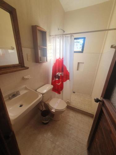 a bathroom with a toilet and a sink and a shower at San Sebastian in Comitán