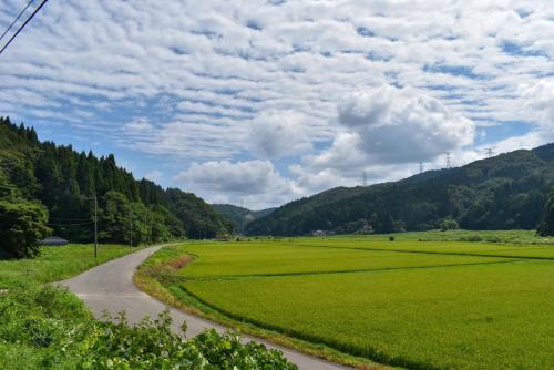 藤里町にある白神山地の麓でヤギのいるゲストハウス　あわじ商店の緑地中道