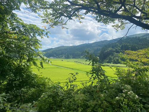 een uitzicht op een groen veld vanuit een boom bij 白神山地の麓でヤギのいるゲストハウス　あわじ商店 in Fujisato