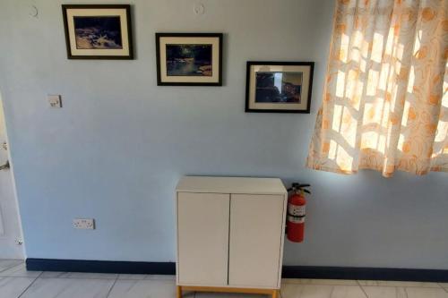 einen weißen Kühlschrank in einem Zimmer mit drei Bildern an der Wand in der Unterkunft 28 Steber in Roseau