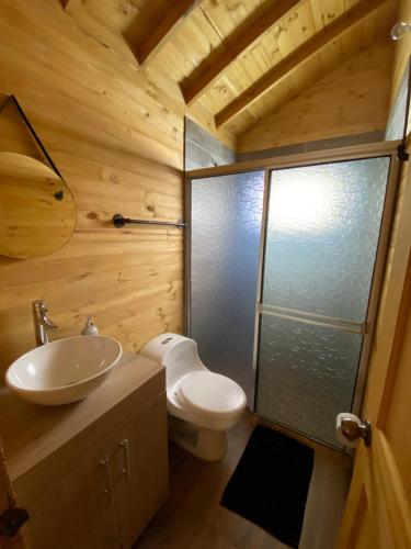 a bathroom with a toilet and a sink and a shower at Altozano Cabañas in Guatavita