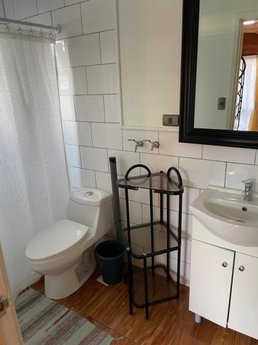 een badkamer met een toilet en een wastafel bij Cabaña 300 mts. del centro in Licán Ray