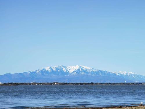 T2 climatisé avec internet et piscine, 4 couchages - Le Barcarès - FR-1-195-107