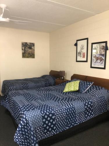 a bedroom with two beds with blue and white sheets at Motel Bream in Mallacoota