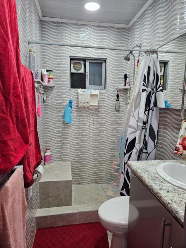a bathroom with a shower with a toilet and a sink at Very cozy beautifully designed loft apartment in Coco