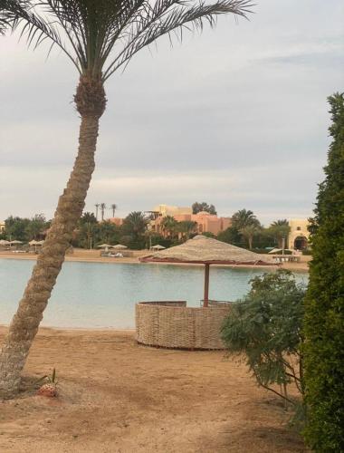 a palm tree in front of a swimming pool at Nubia Gouna in Hurghada