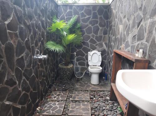 a bathroom with a toilet and plants in it at Homestay on the beach in Tejakula