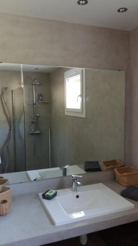 une salle de bain avec un lavabo, une douche et un miroir dans l'établissement VillaPapyrusToulon, à Toulon