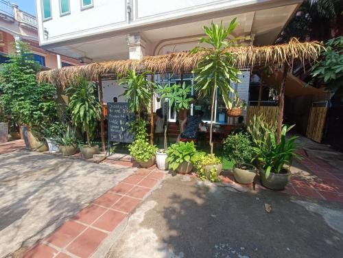 a bunch of plants in pots in front of a store at Orchid 101 in Kampot